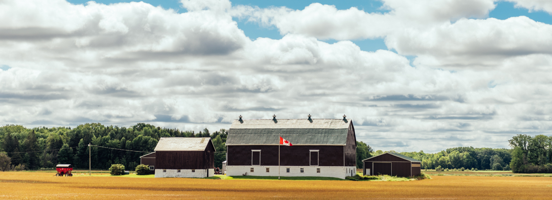 agricultural field and barn