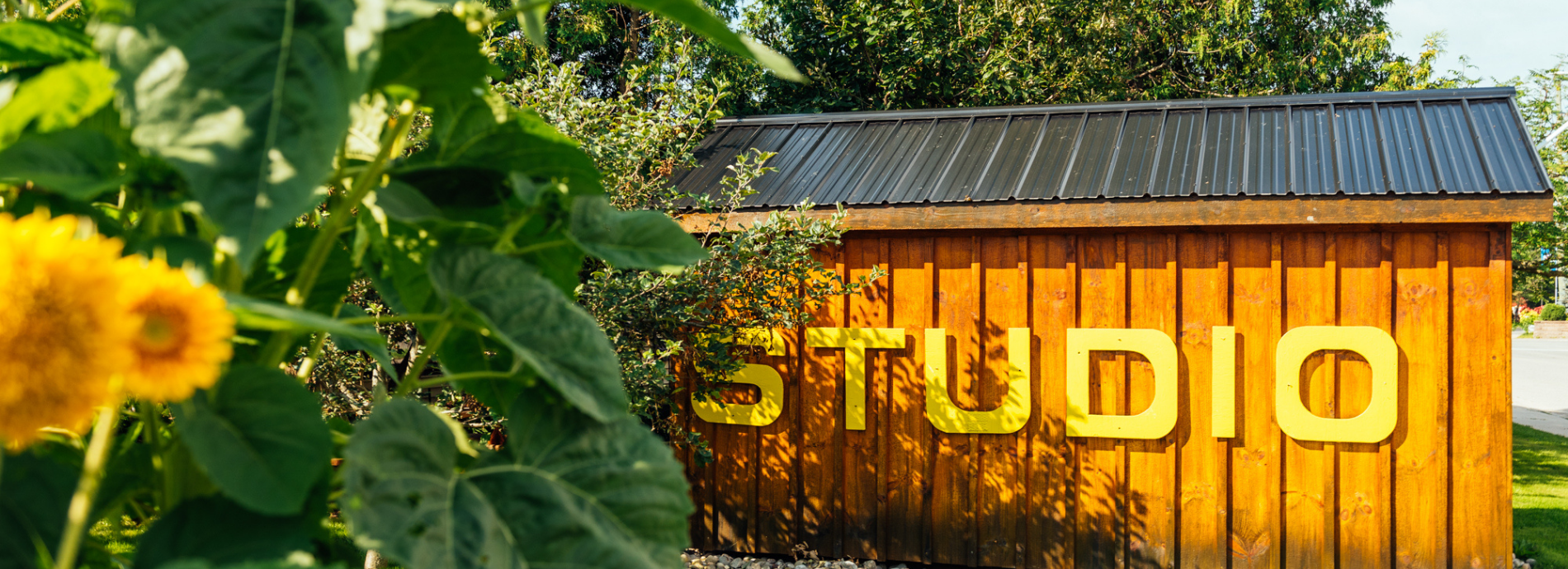 Coldwater art studio surrounded by sunflowers